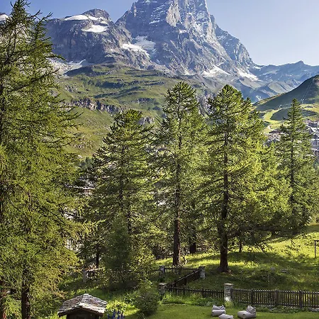 Saint Hubertus 4*